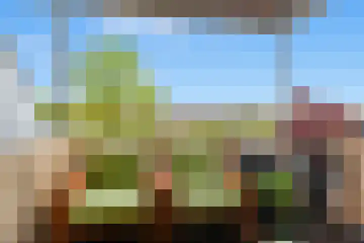 Pelikaanhof 50 Beverwijk thumbnail 22