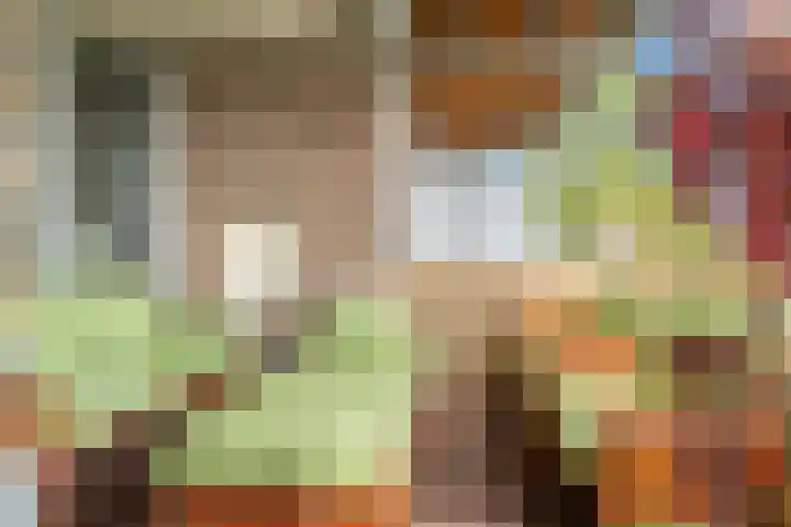 Pelikaanhof 50 Beverwijk thumbnail 23