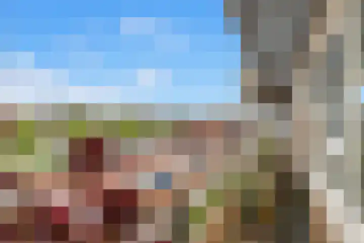 Pelikaanhof 50 Beverwijk thumbnail 25