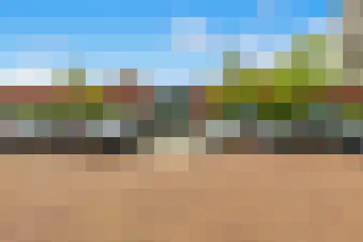Pelikaanhof 50 Beverwijk thumbnail 29