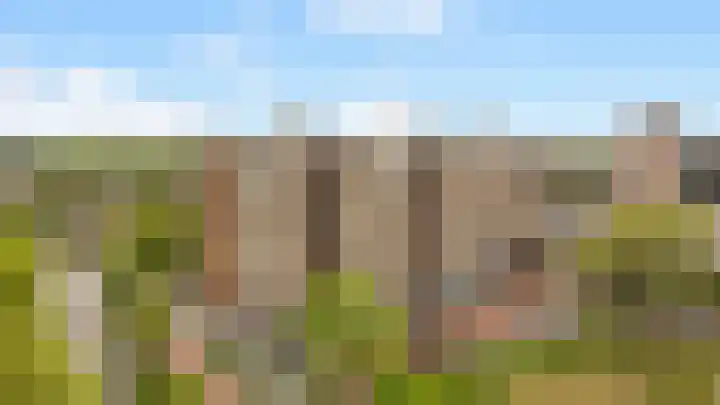 Pelikaanhof 50 Beverwijk thumbnail 32