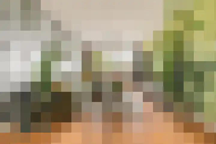 Pelikaanhof 50 Beverwijk thumbnail 4