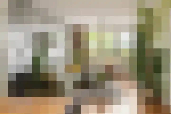 Pelikaanhof 50 Beverwijk thumbnail 5