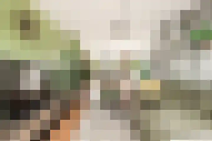 Pelikaanhof 50 Beverwijk thumbnail 7