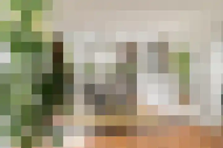 Pelikaanhof 50 Beverwijk thumbnail 8