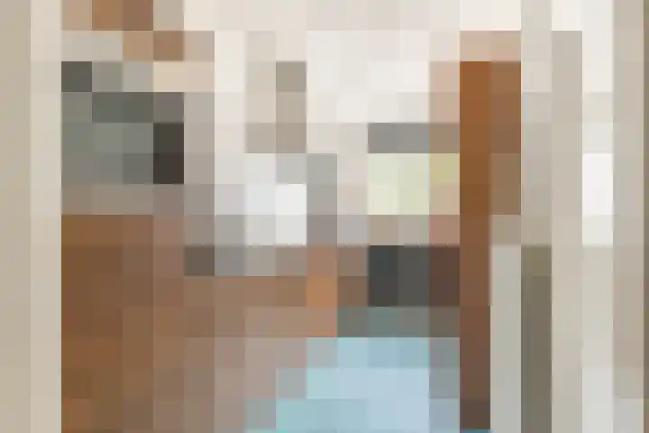 Pelikaanhof 50 Beverwijk thumbnail 9