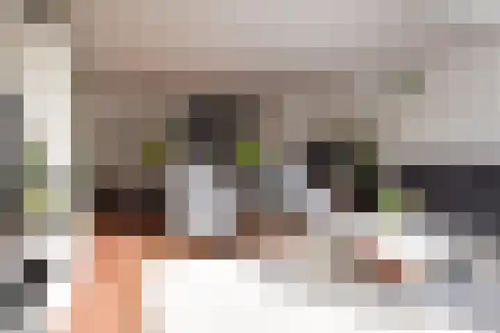 Pelikaanhof 59 Leidschendam thumbnail 15