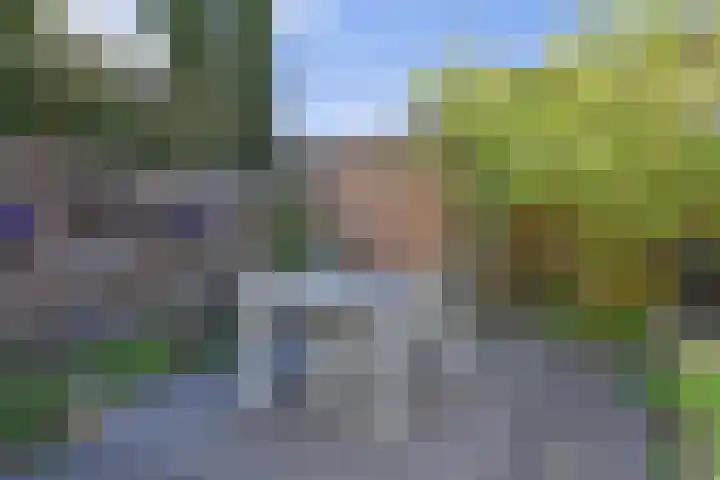 Pelikaanhof 59 Leidschendam thumbnail 22