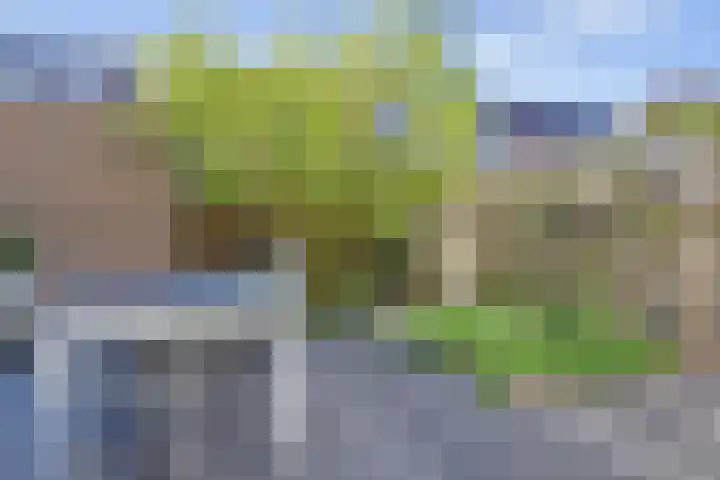 Pelikaanhof 59 Leidschendam thumbnail 23