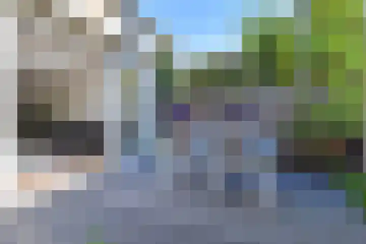 Pelikaanhof 59 Leidschendam thumbnail 28