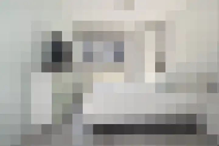 Pelikaanhof 59 Leidschendam thumbnail 32