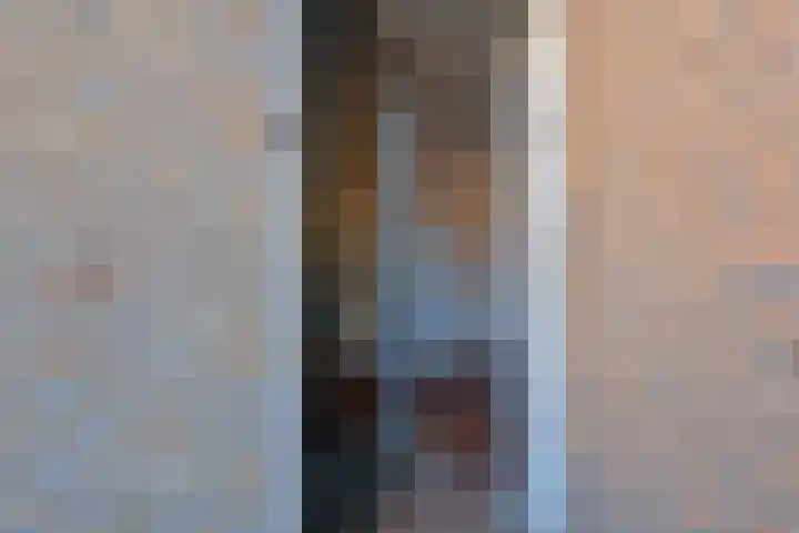 Pelikaanhof 59 Leidschendam thumbnail 7