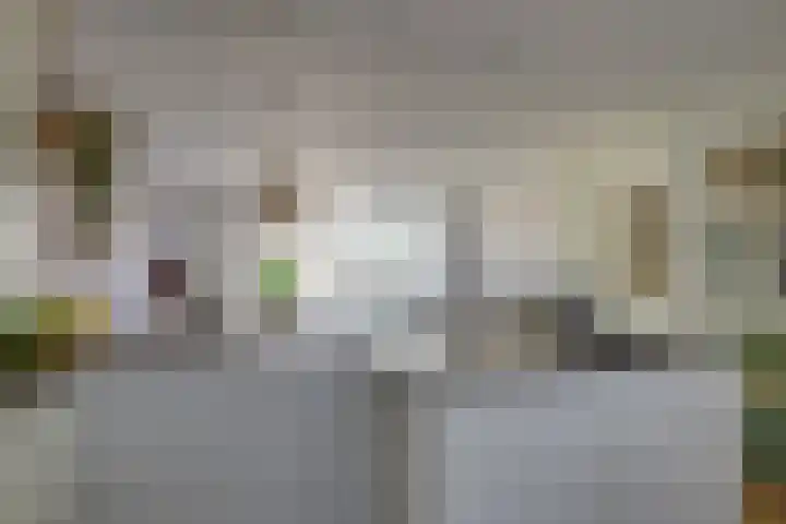 Pelikaanhof 61 Leidschendam thumbnail 11