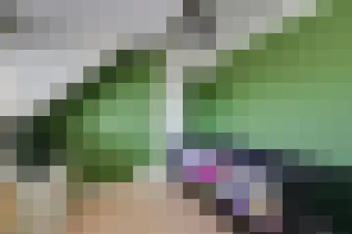 Pelikaanhof 61 Leidschendam thumbnail 22
