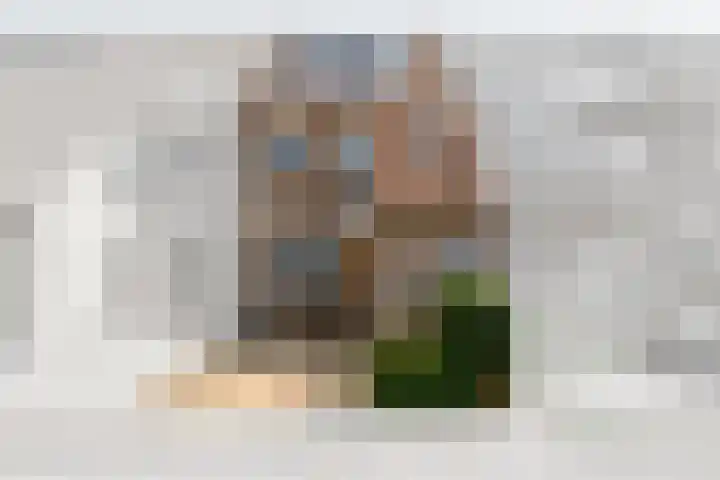 Pelikaanhof 61 Leidschendam thumbnail 5