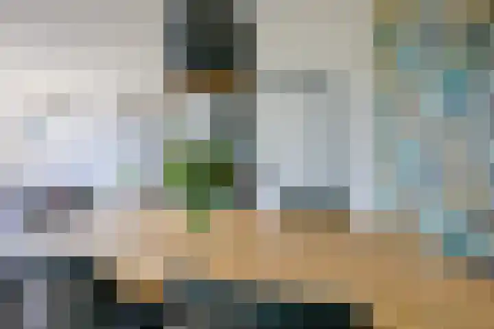 Pelikaanhof 68 Beverwijk thumbnail 17
