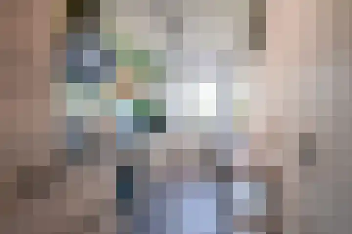 Pelikaanhof 68 Beverwijk thumbnail 8