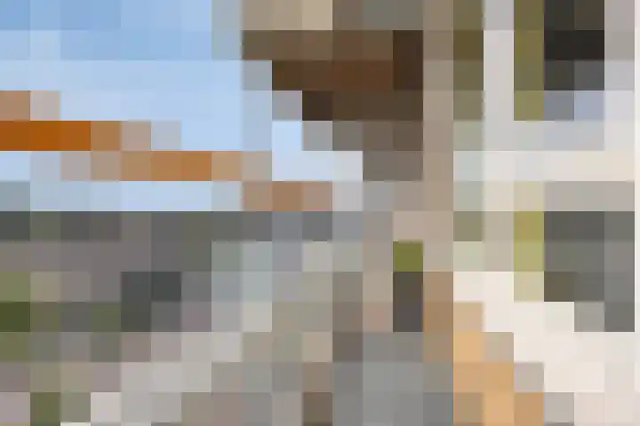 Pelikaanhof 82 Beverwijk thumbnail 15