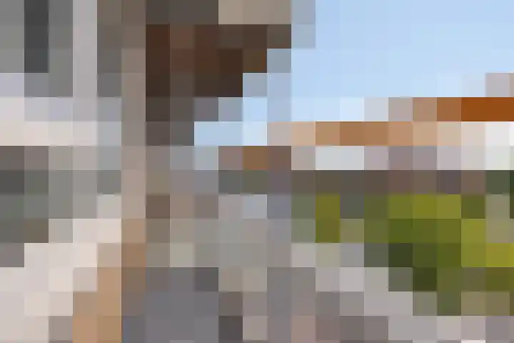 Pelikaanhof 82 Beverwijk thumbnail 16