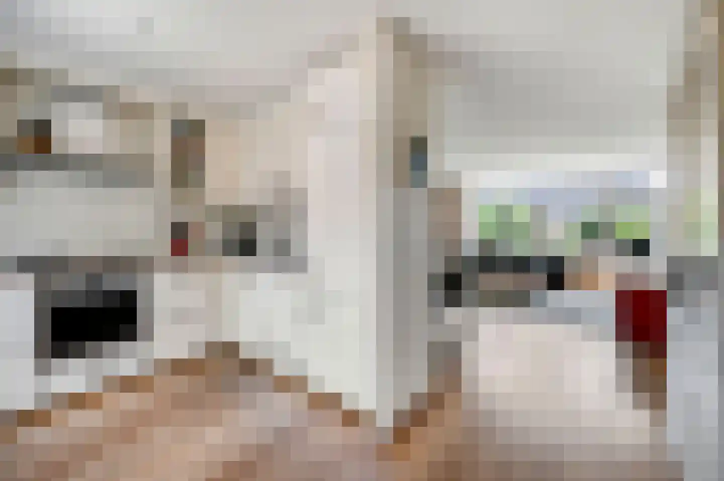 Pelikaanhof 85 Leidschendam thumbnail 10