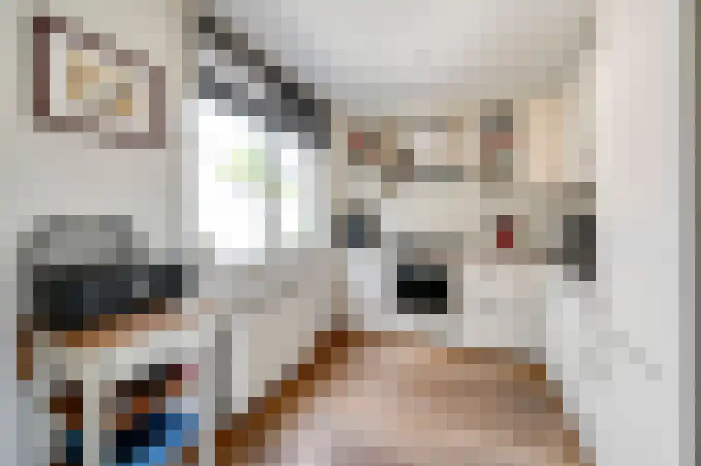 Pelikaanhof 85 Leidschendam thumbnail 11