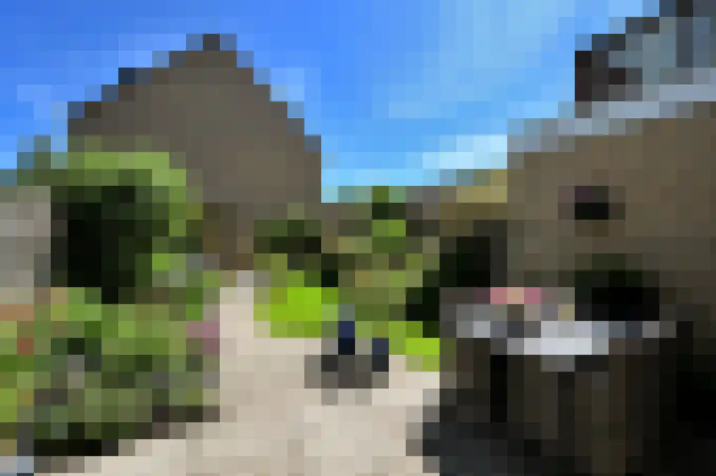 Pelikaanhof 85 Leidschendam thumbnail 19