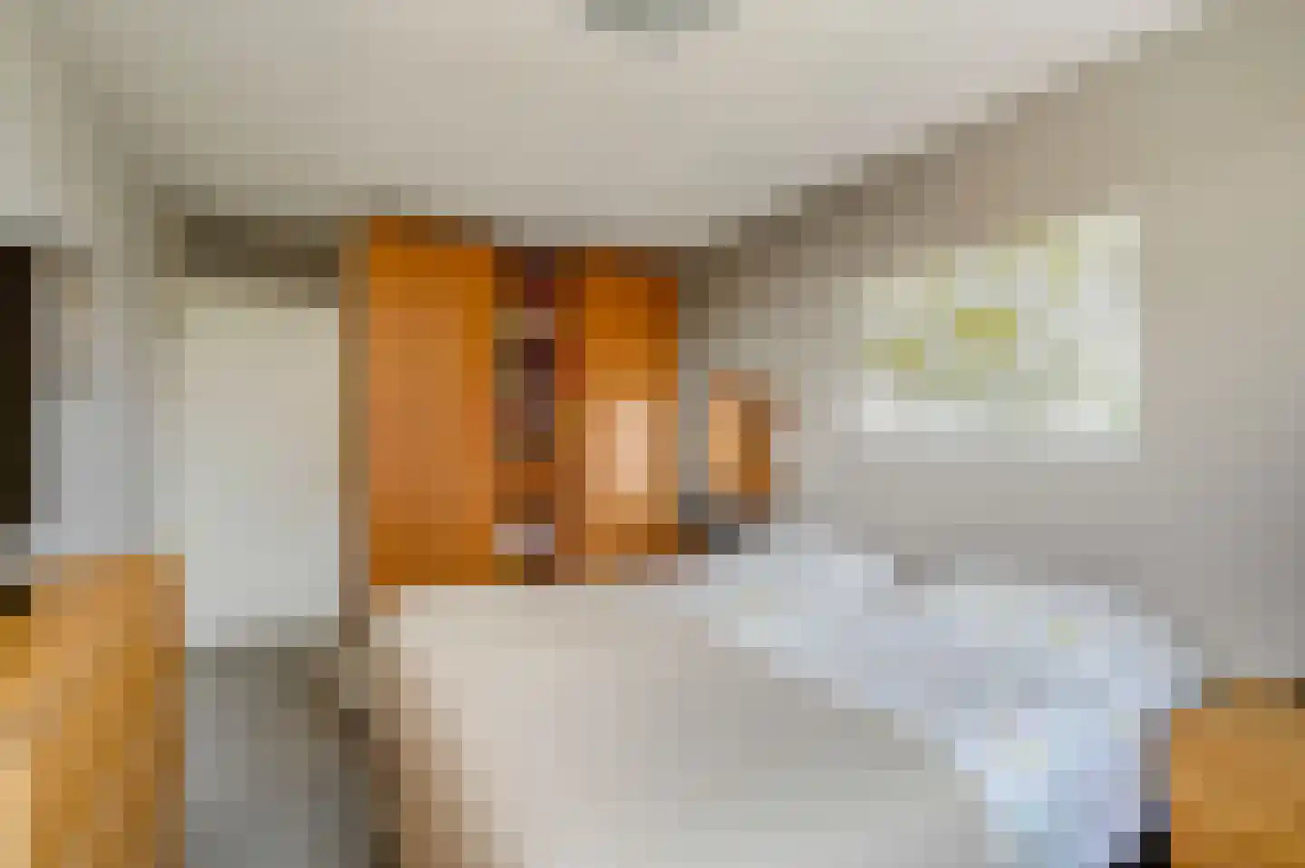 Pelikaanhof 85 Leidschendam thumbnail 24