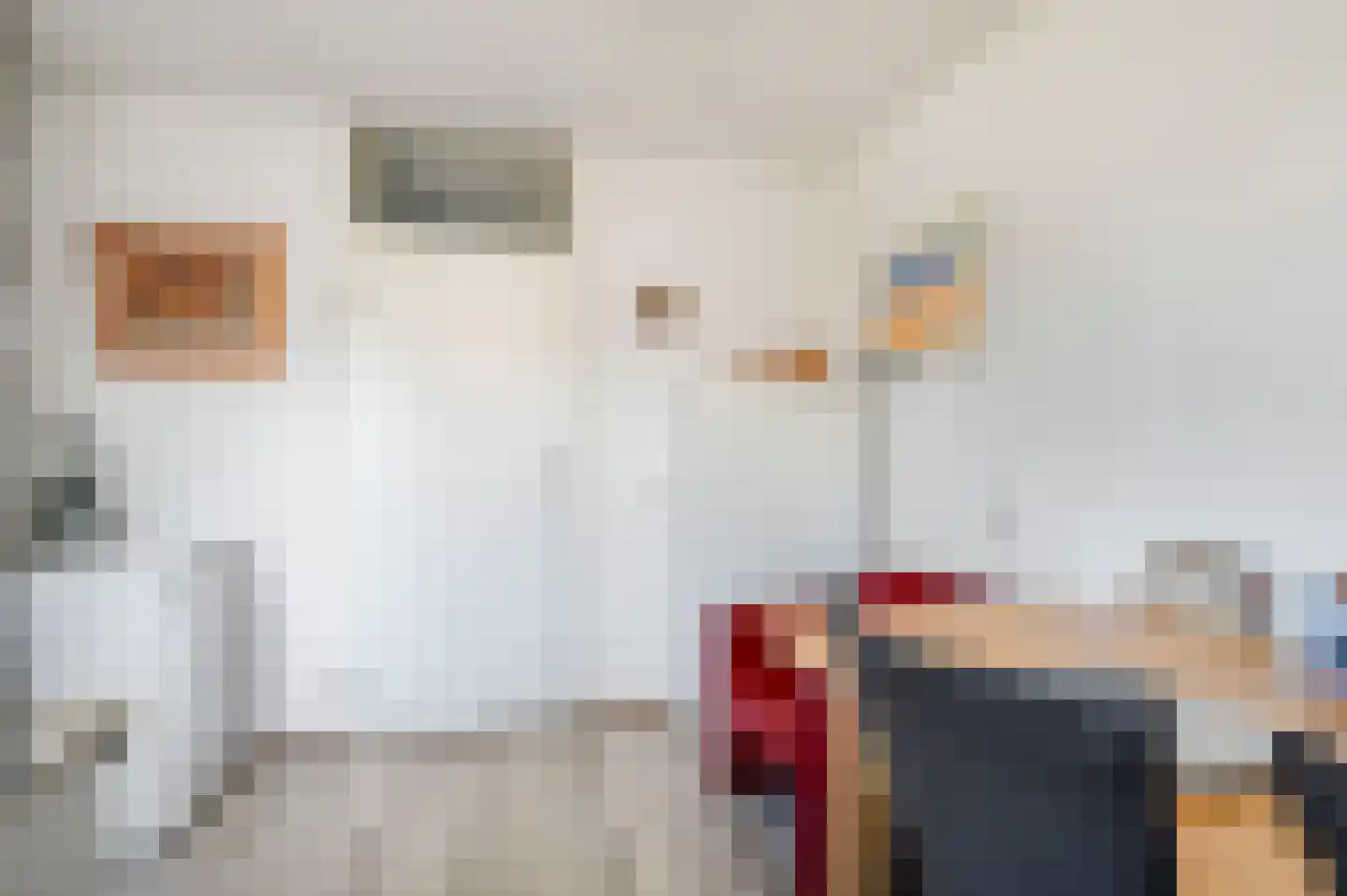 Pelikaanhof 85 Leidschendam thumbnail 32