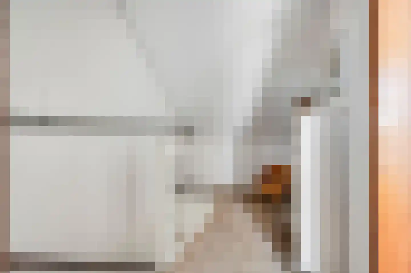 Pelikaanhof 85 Leidschendam thumbnail 34