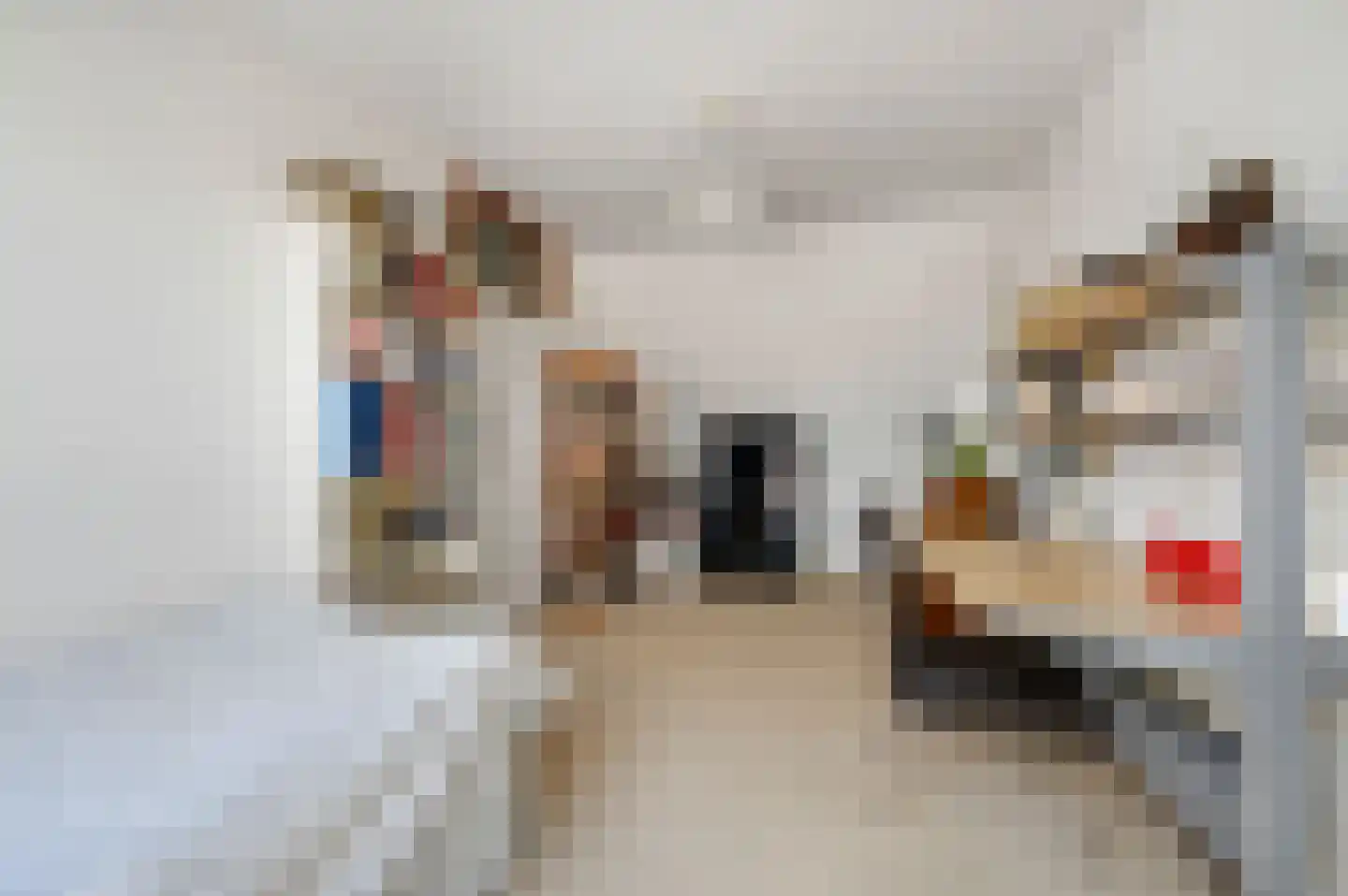 Pelikaanhof 85 Leidschendam thumbnail 37
