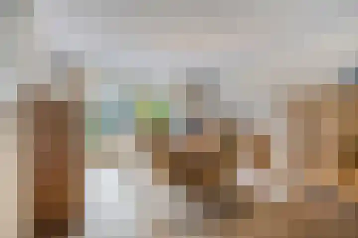 Pelikaanhof 9 Deurne thumbnail 10