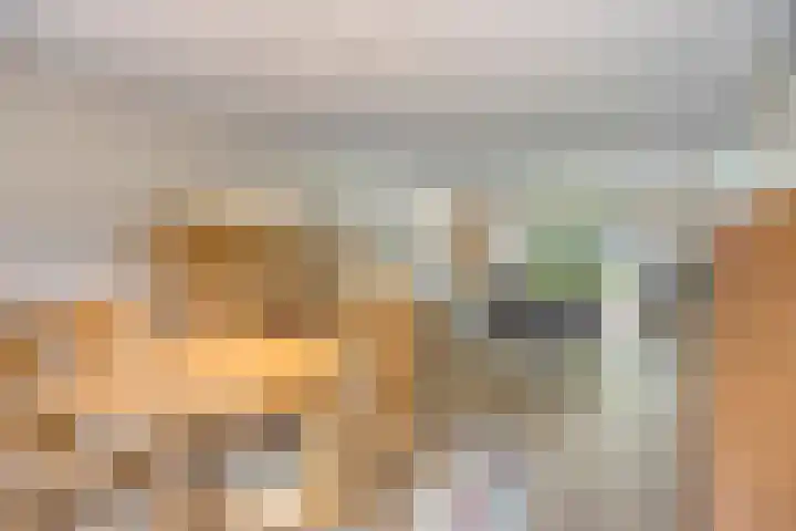Pelikaanhof 9 Deurne thumbnail 11