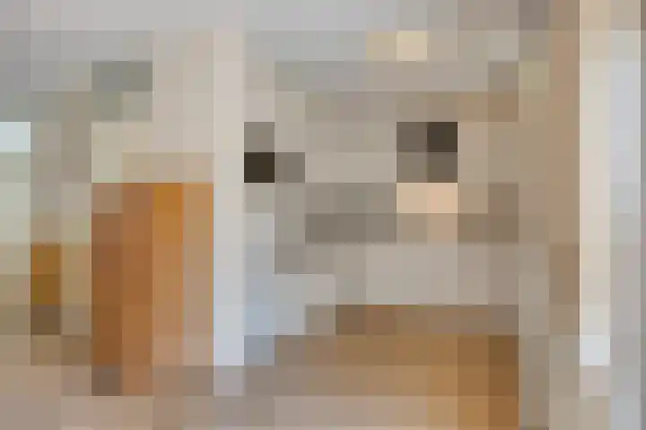 Pelikaanhof 9 Deurne thumbnail 12