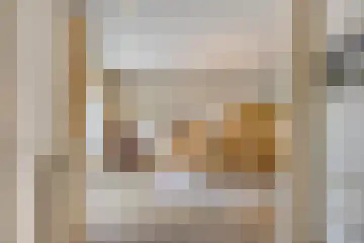 Pelikaanhof 9 Deurne thumbnail 15