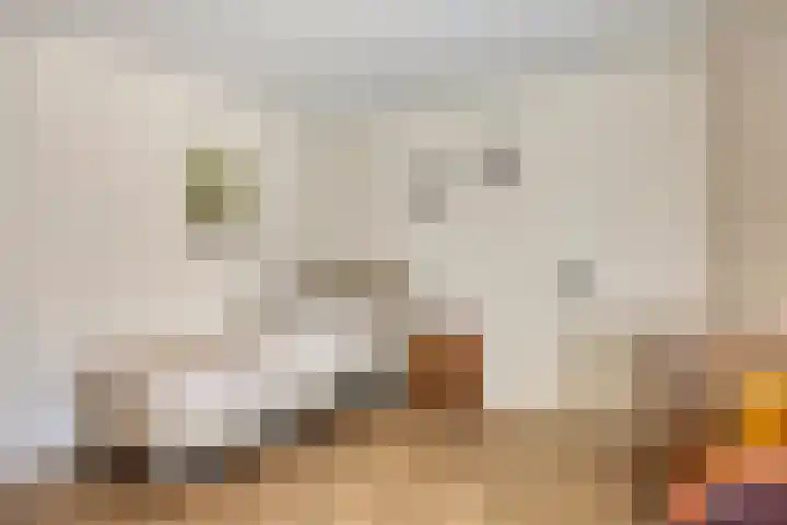 Pelikaanhof 9 Deurne thumbnail 17