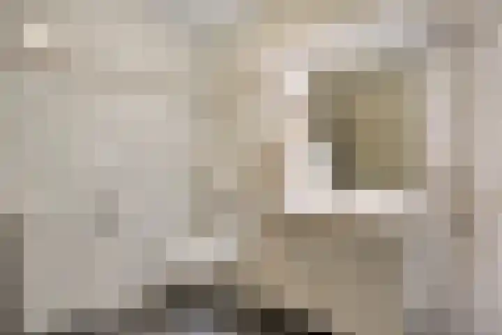 Pelikaanhof 9 Deurne thumbnail 20