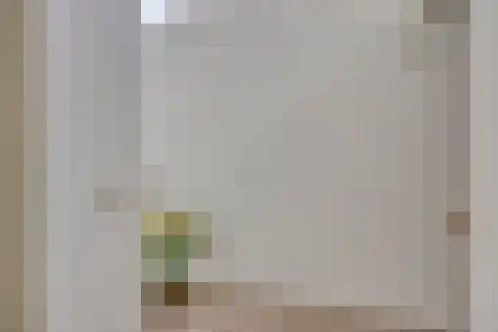 Pelikaanhof 9 Deurne thumbnail 25