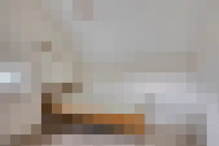 Pelikaanhof 9 Deurne thumbnail 29