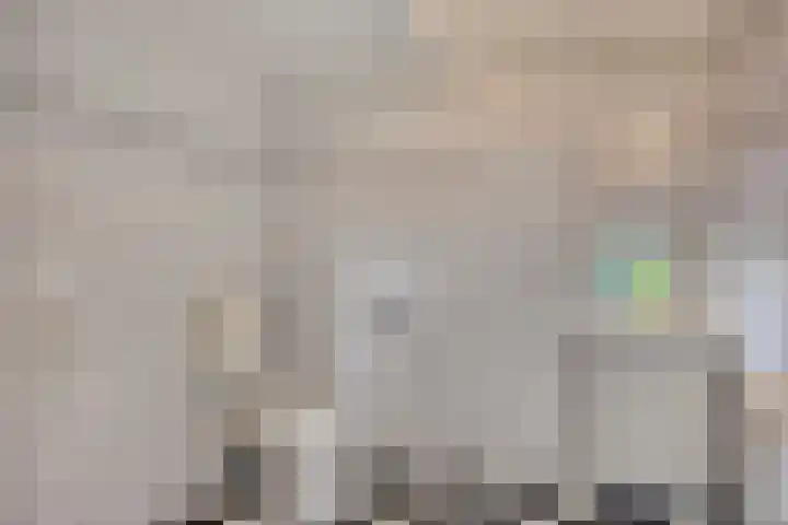 Pelikaanhof 9 Deurne thumbnail 30