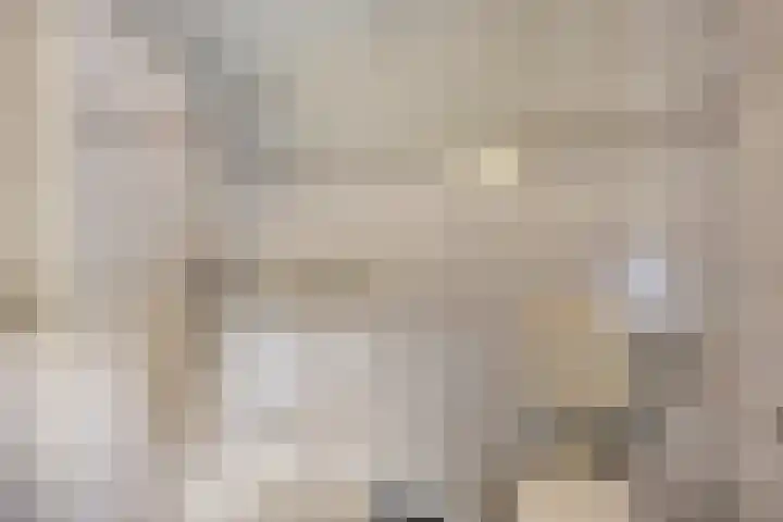 Pelikaanhof 9 Deurne thumbnail 31