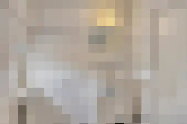 Pelikaanhof 9 Deurne thumbnail 32