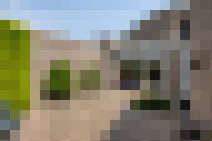 Pelikaanhof 9 Deurne thumbnail 33
