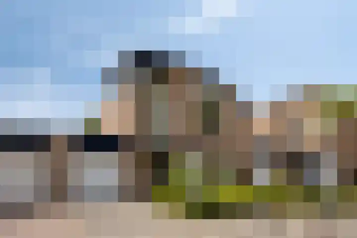 Pelikaanhof 9 Deurne thumbnail 39