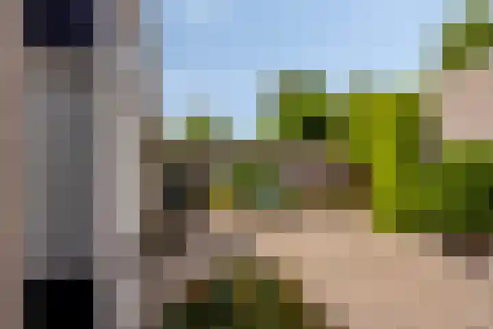 Pelikaanhof 9 Deurne thumbnail 4