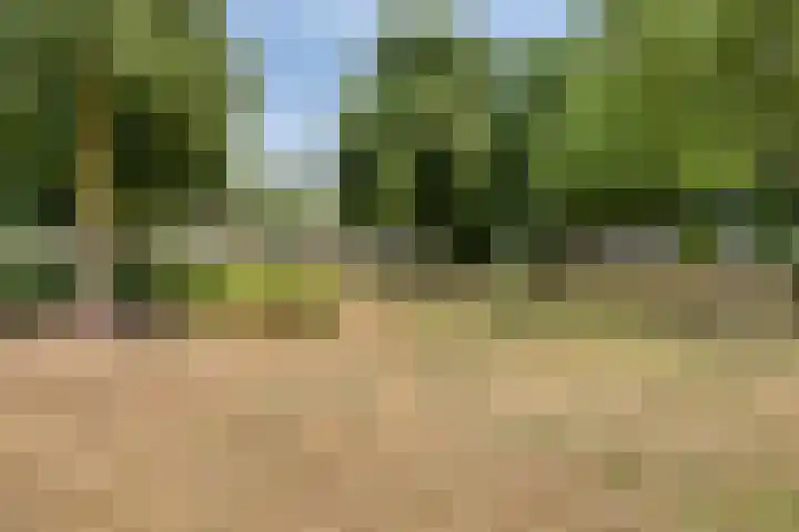 Pelikaanhof 9 Deurne thumbnail 41