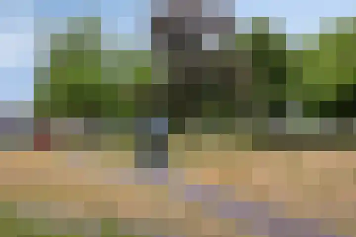 Pelikaanhof 9 Deurne thumbnail 43