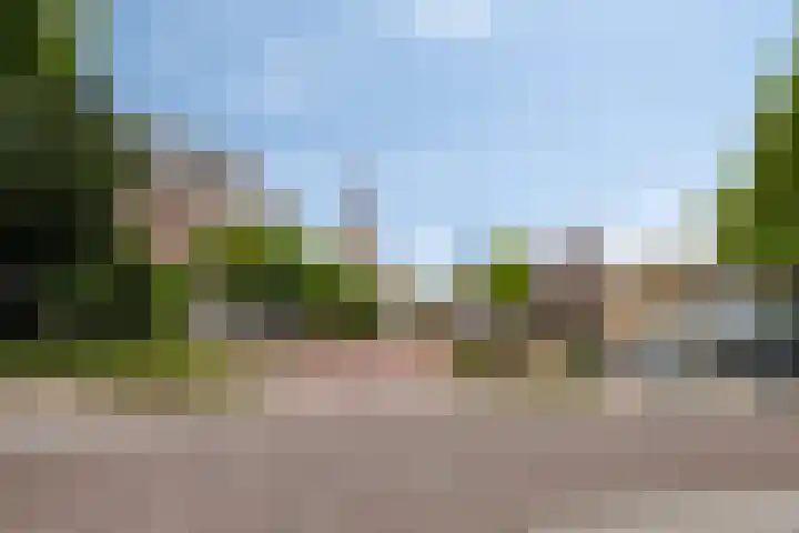 Pelikaanhof 9 Deurne thumbnail 44