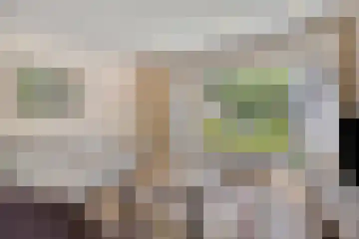 Pelikaanhof 9 Deurne thumbnail 7