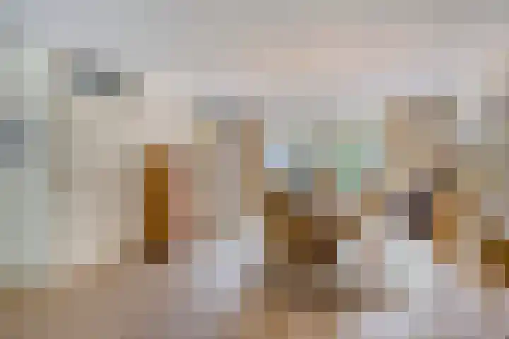 Pelikaanhof 9 Deurne thumbnail 9