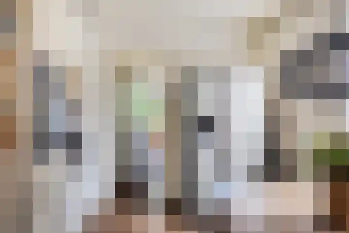 Pelikaanlaan 3 Apeldoorn thumbnail 12